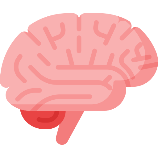 Brain · Database